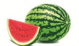 51娱乐网红吃瓜,揭秘娱乐圈幕后真相